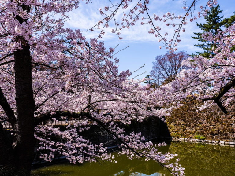 会津若松城