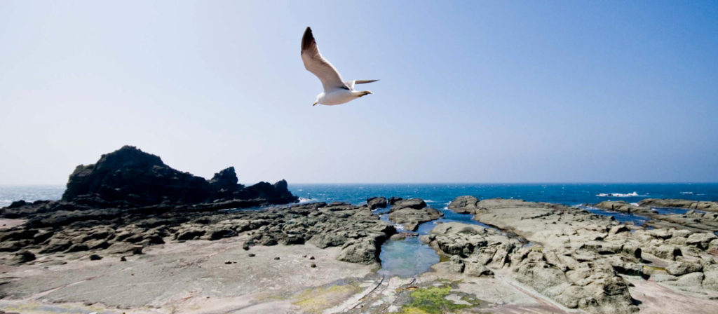 青森千疊敷海岸