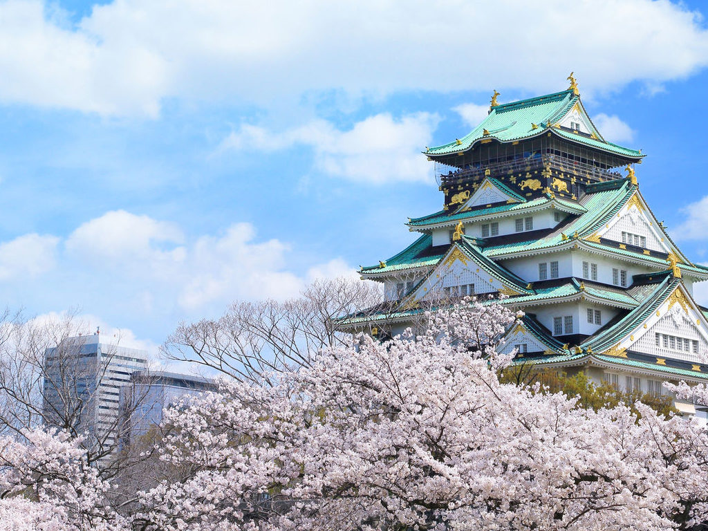 大阪城公園賞櫻