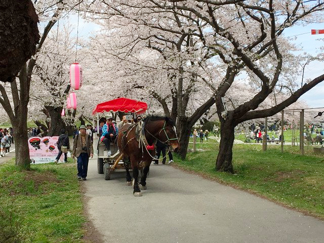 北上展勝地公園