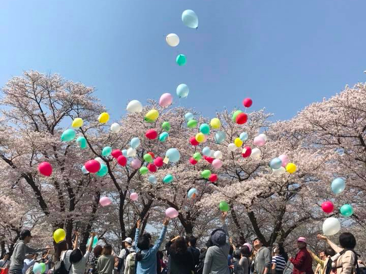 北上展勝地公園