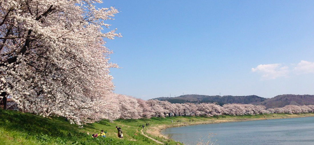 東北賞櫻-弘前城.北上展勝地.盛岡城跡三大名所.奧入瀨溪七日