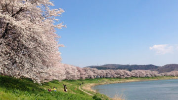 東北賞櫻-弘前城.北上展勝地.盛岡城跡三大名所.奧入瀨溪七日