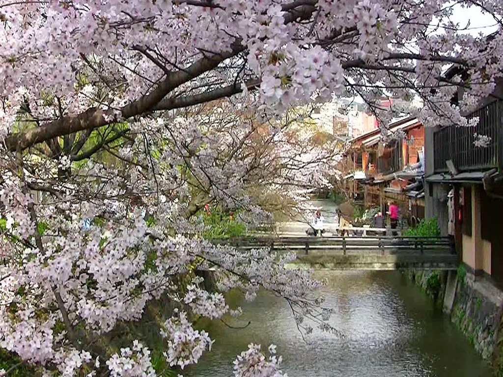 祇園白川
