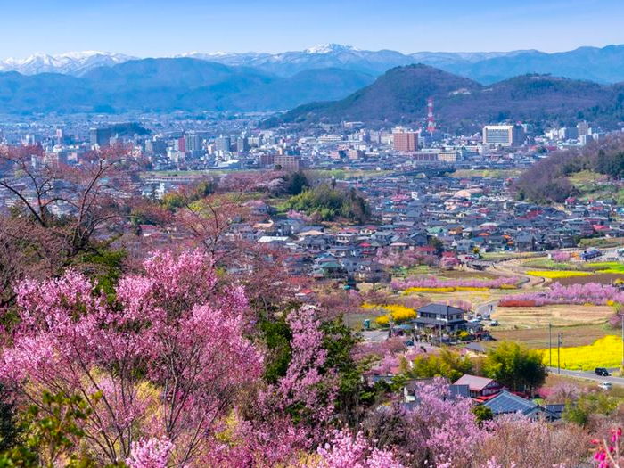 花見山公園