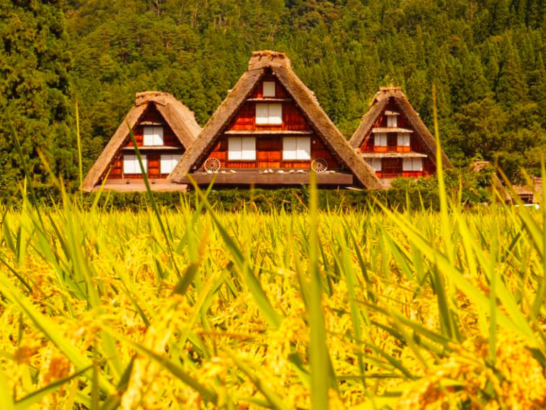 白川鄉合掌村