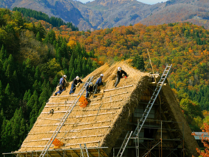 白川鄉合掌村
