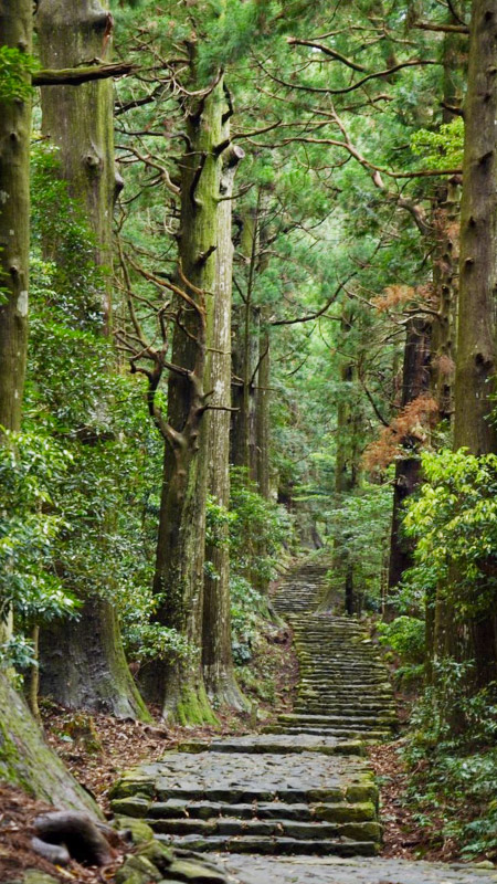 熊野古道