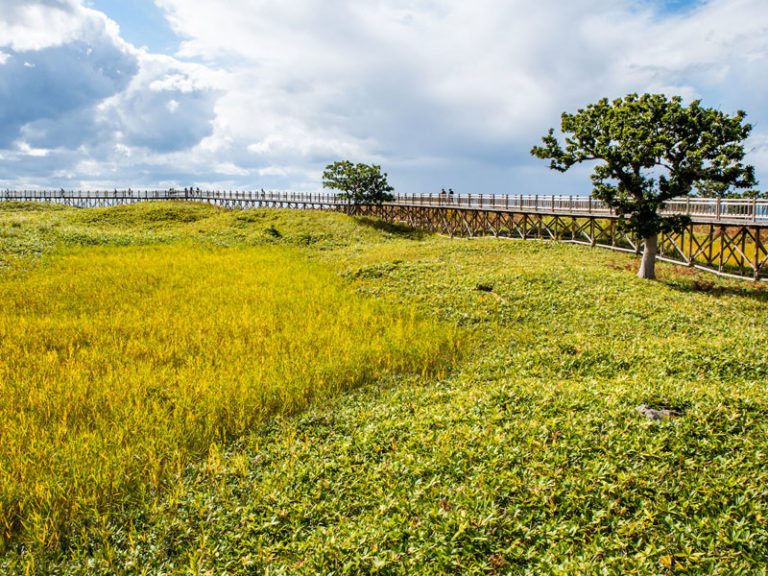 北海道道東 知床