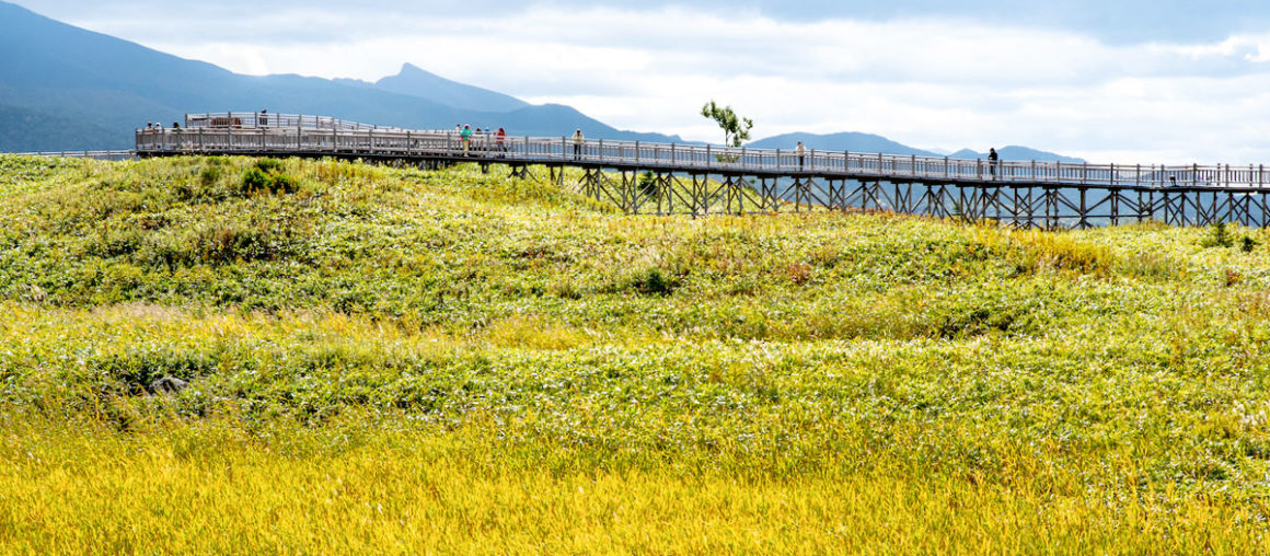 北海道道東秋涼賞楓趣八日
