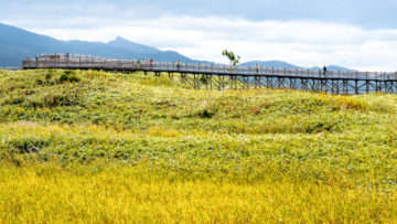 北海道道東秋涼賞楓趣八日