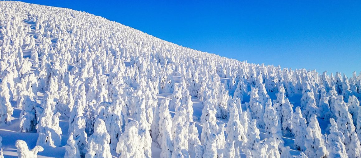 東北藏王樹冰 絕景.百選溫泉.美食饗宴五日