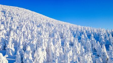 東北藏王樹冰 絕景.百選溫泉.美食饗宴五日