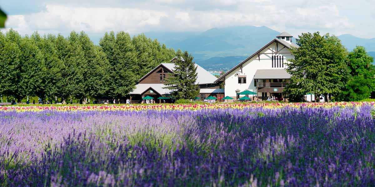 富田農場