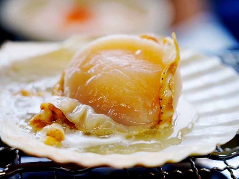 北海道猿拂村 干貝