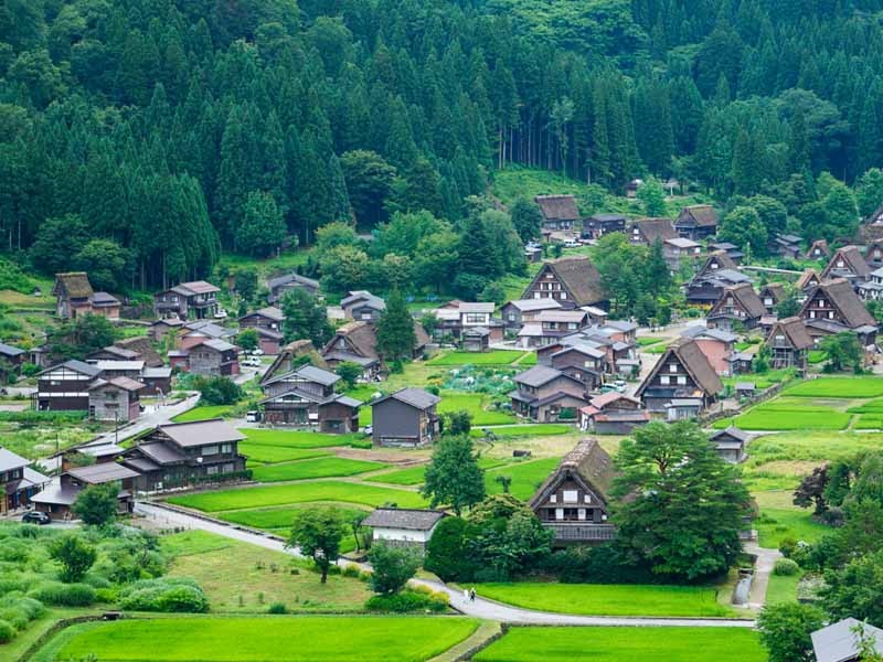 白川鄉合掌村