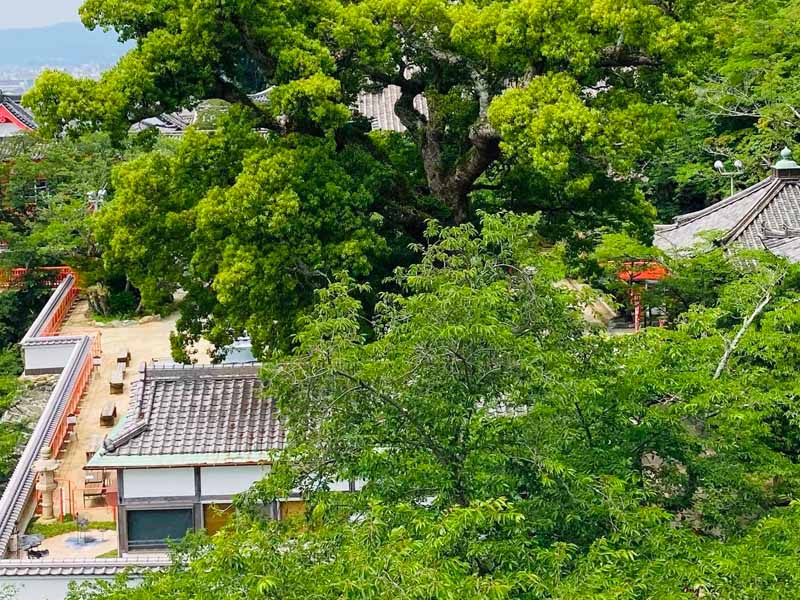 紀三井寺夏
